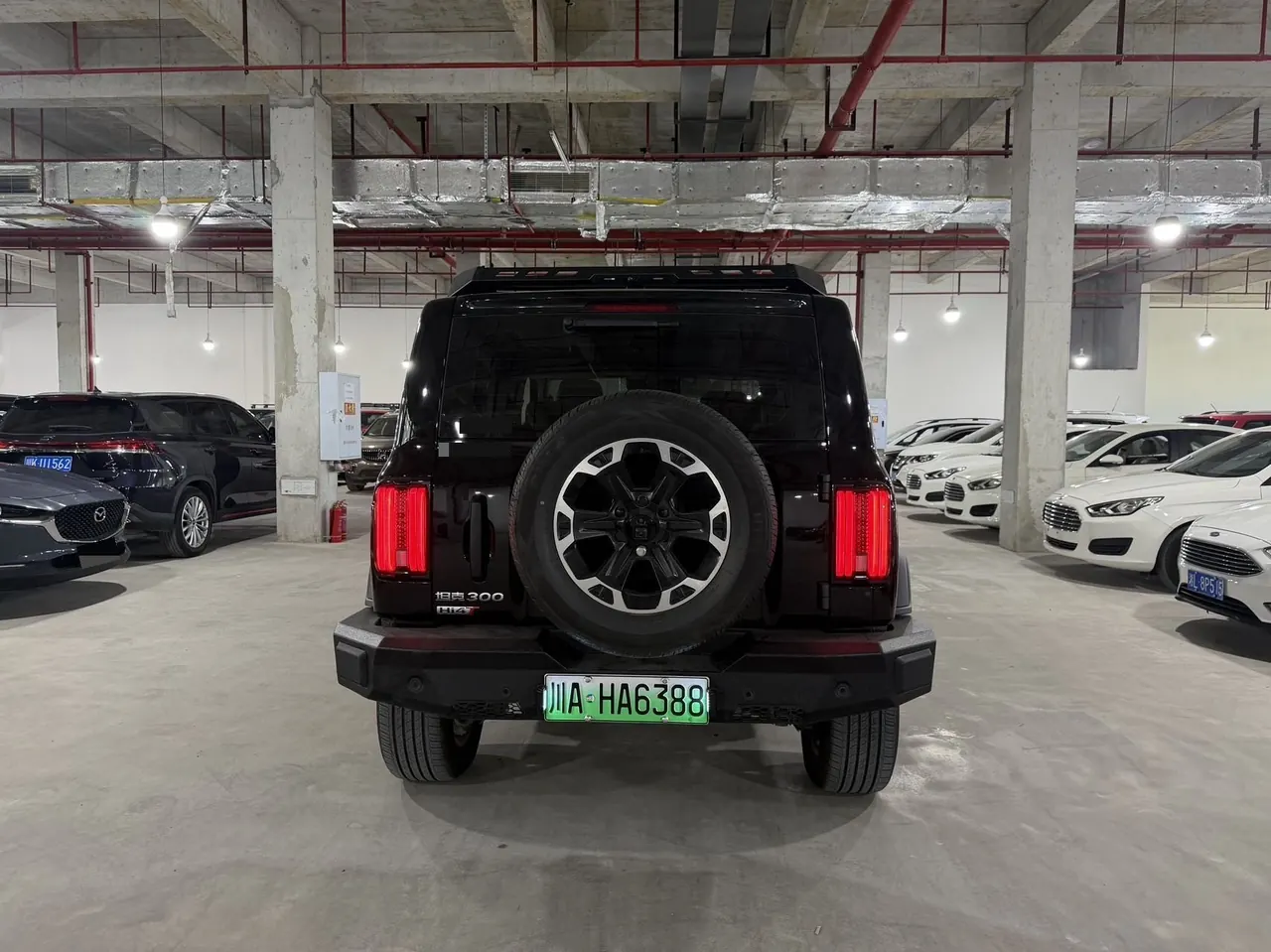 Tank 2025 Tank 300 Hi4-T 2.0T Hi4-T 36.7kWh automatic 8