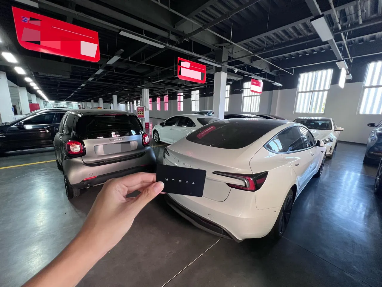 Tesla 2025 Model 3 Rear-Wheel-Drive Edition (facelift) Automatic Transmission 3