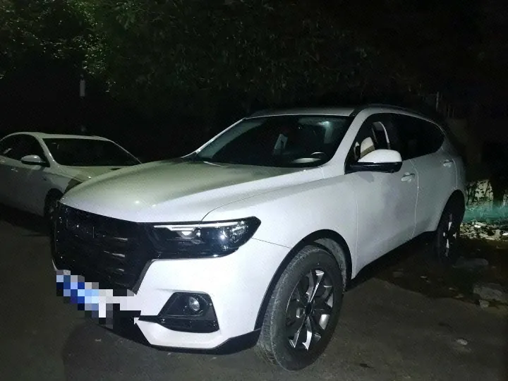 Open image lightbox: Haval 2021 H6 1.5T National Tide Champion Edition Automatic Gear