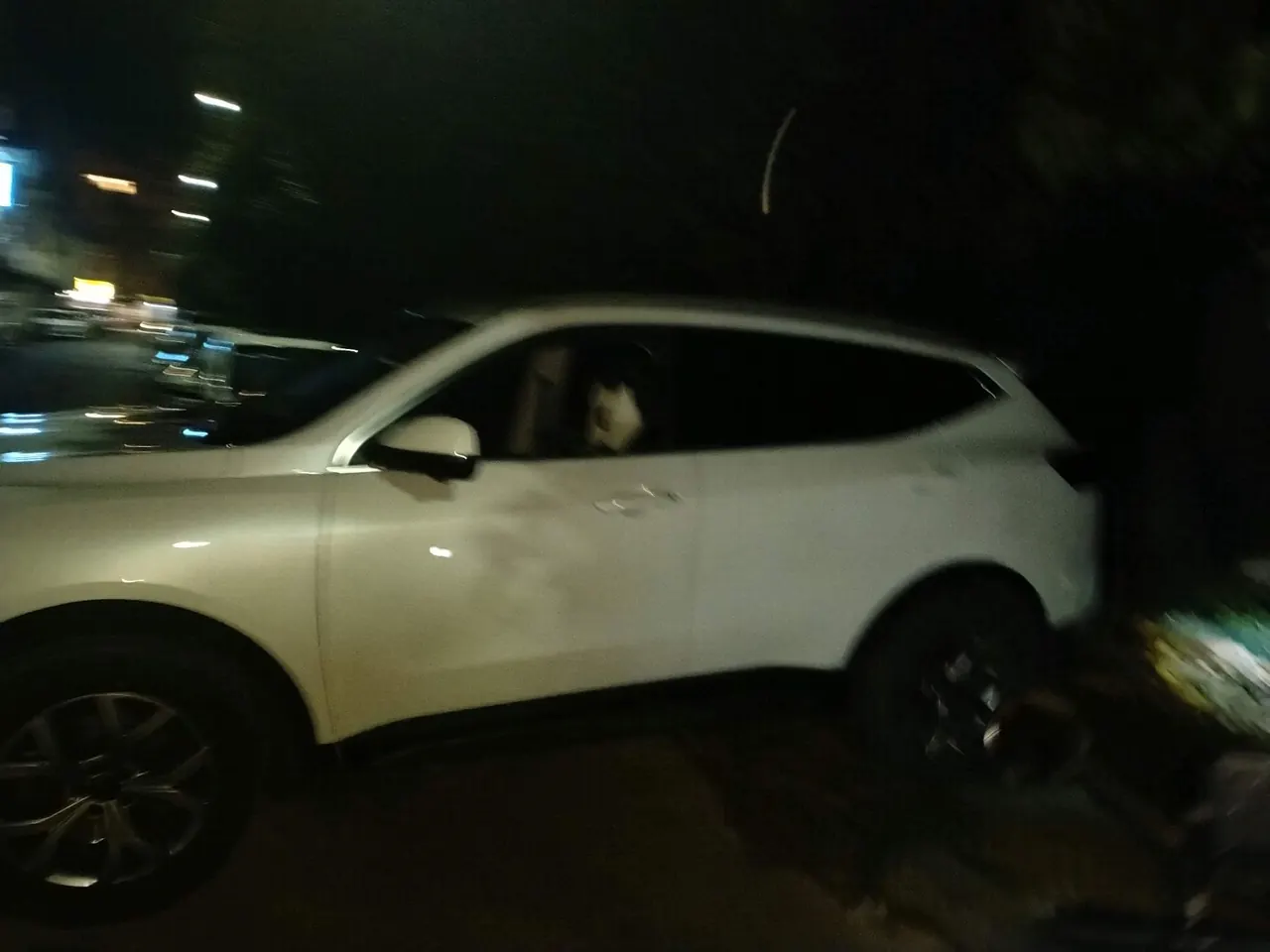 Haval 2021 H6 1.5T National Tide Champion Edition Automatic Gear 3