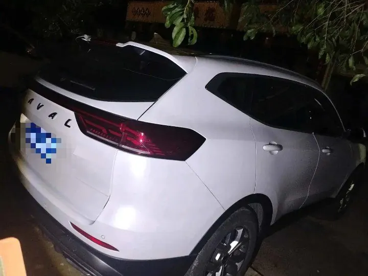 Haval 2021 H6 1.5T National Tide Champion Edition Automatic Gear 9