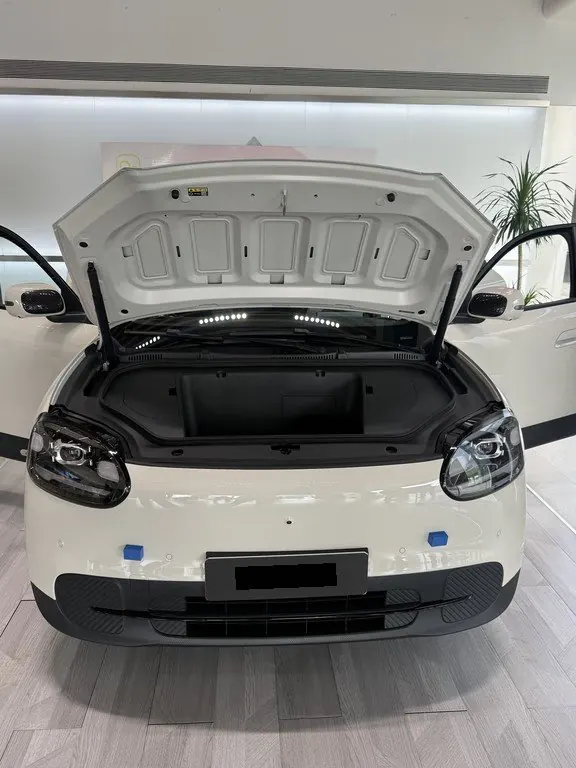 Chery 2026 QQ3 EV 420 Sharing Edition Automatic Gear 5