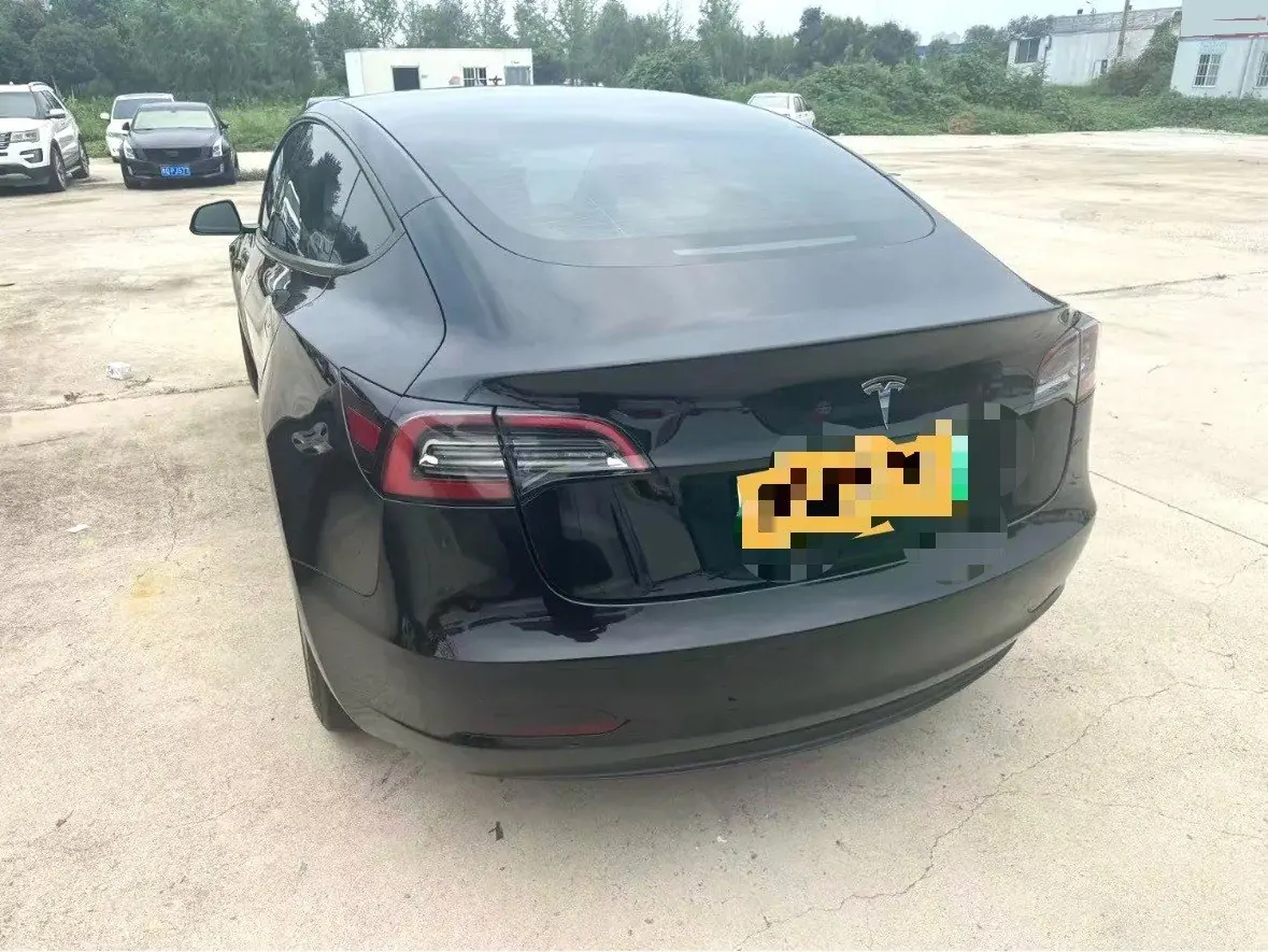 Tesla 2021 Model 3 Standard Endurance Rear Drive Upgraded Automatic Gear 5