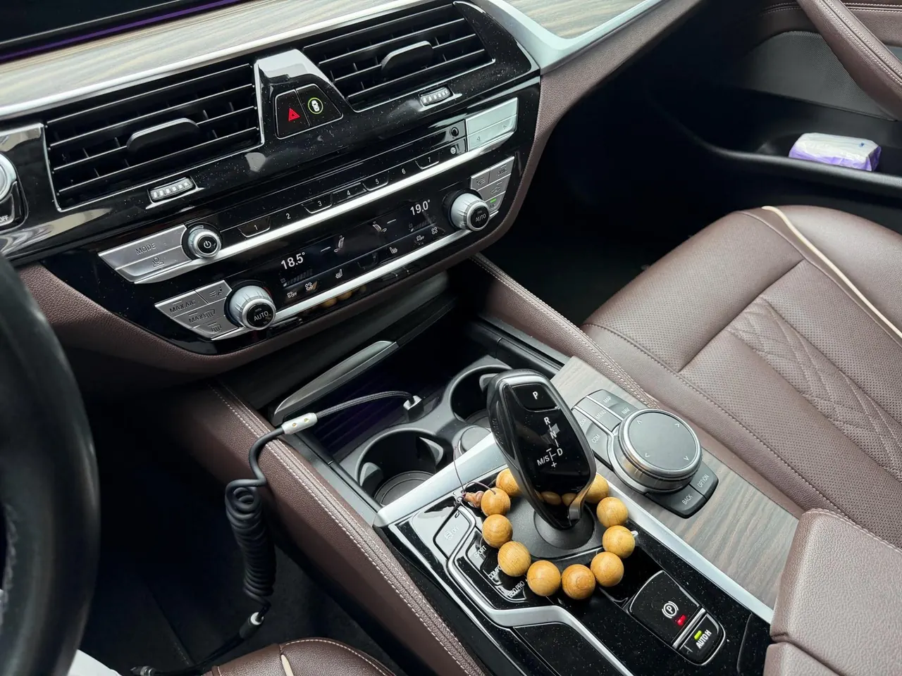 BMW 5 Series 2021 530Li 2.0T Leading Luxury Suit Automatic Gear 7