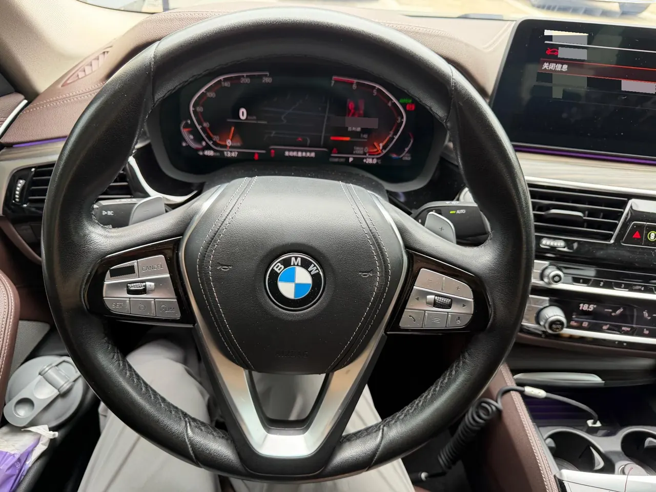 BMW 5 Series 2021 530Li 2.0T Leading Luxury Suit Automatic Gear 9