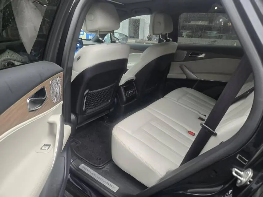 Denza 2020 Denza X PHEV 2.0T Ultimate Automatic Gear 3