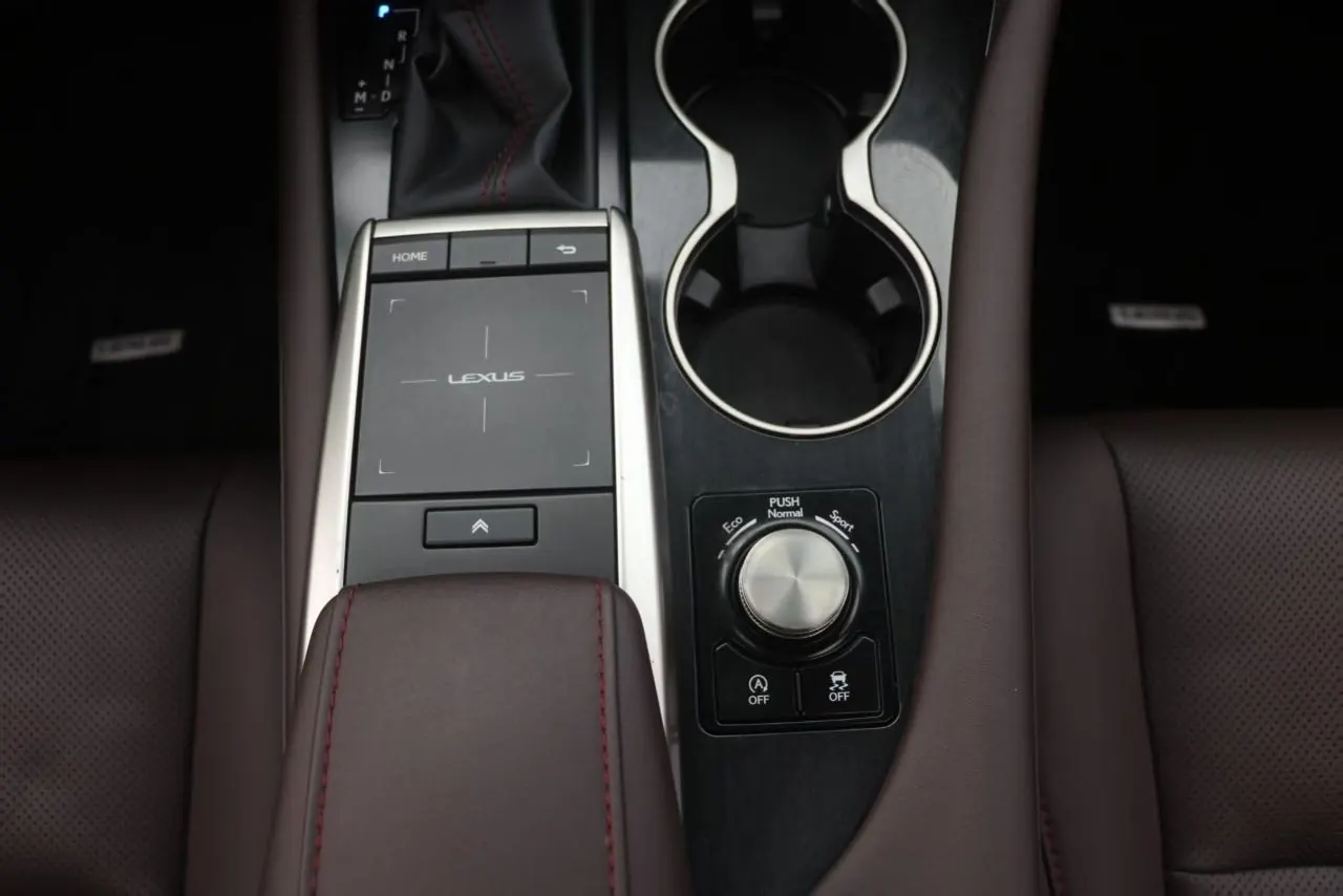 Lexus RX (Imported) 2020 RX300 2.0T Four-wheel Drive Elegant Edition (Modified) Automatic Gear 18