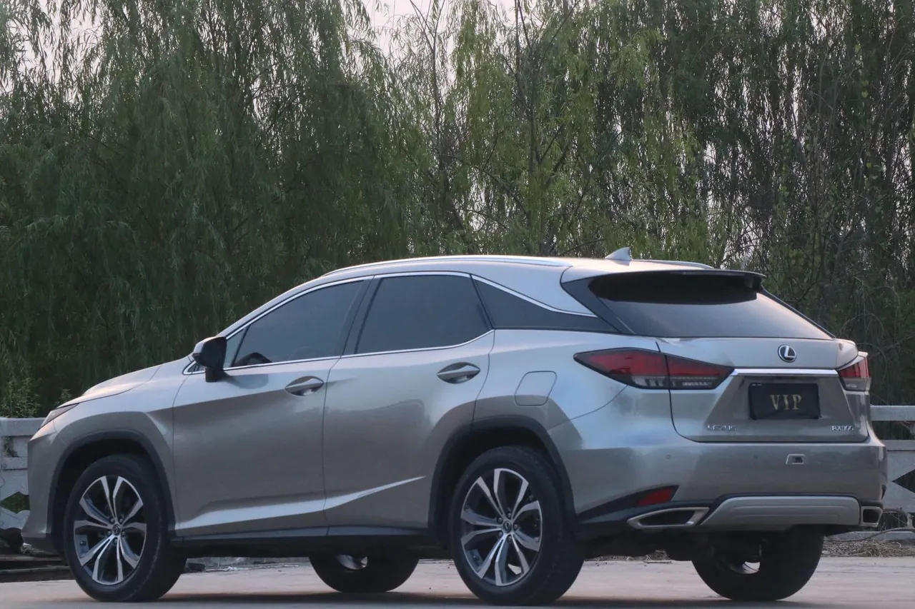 Lexus RX (Imported) 2020 RX300 2.0T Four-wheel Drive Elegant Edition (Modified) Automatic Gear 19