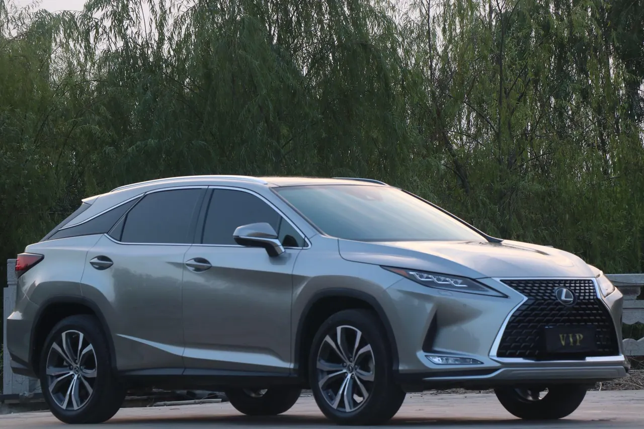 Lexus RX (Imported) 2020 RX300 2.0T Four-wheel Drive Elegant Edition (Modified) Automatic Gear 3