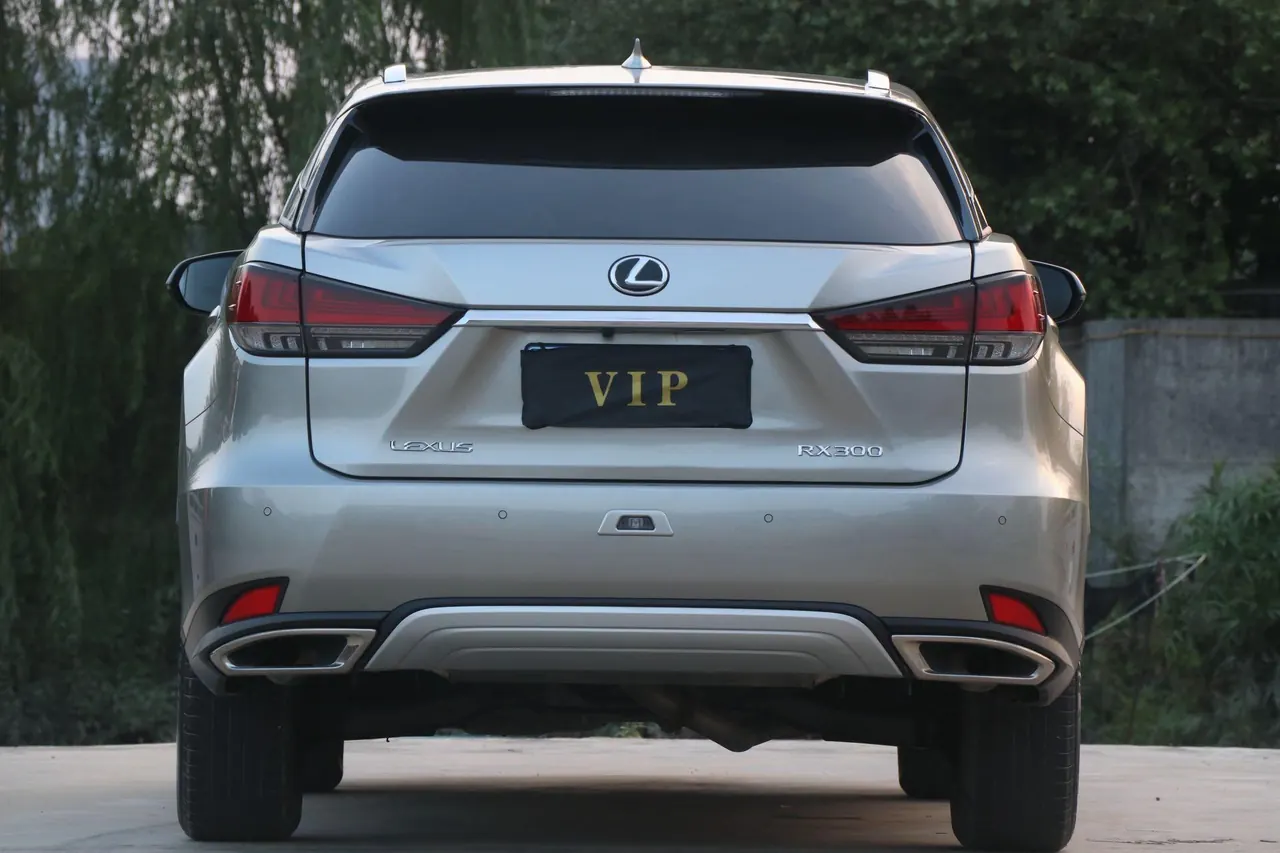 Lexus RX (Imported) 2020 RX300 2.0T Four-wheel Drive Elegant Edition (Modified) Automatic Gear 5