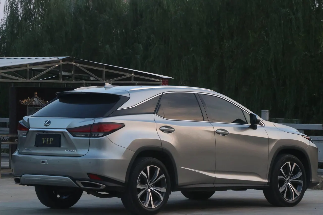 Lexus RX (Imported) 2020 RX300 2.0T Four-wheel Drive Elegant Edition (Modified) Automatic Gear 6