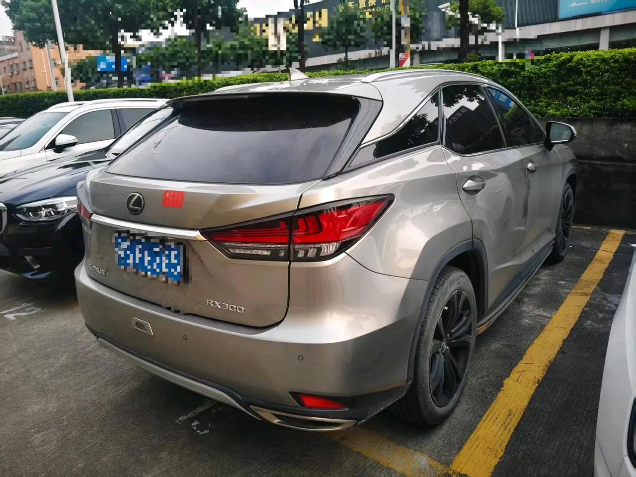 Lexus RX (Imported) 2020 RX300 F SPORT 2.0T Four-wheel Drive Automatic 5