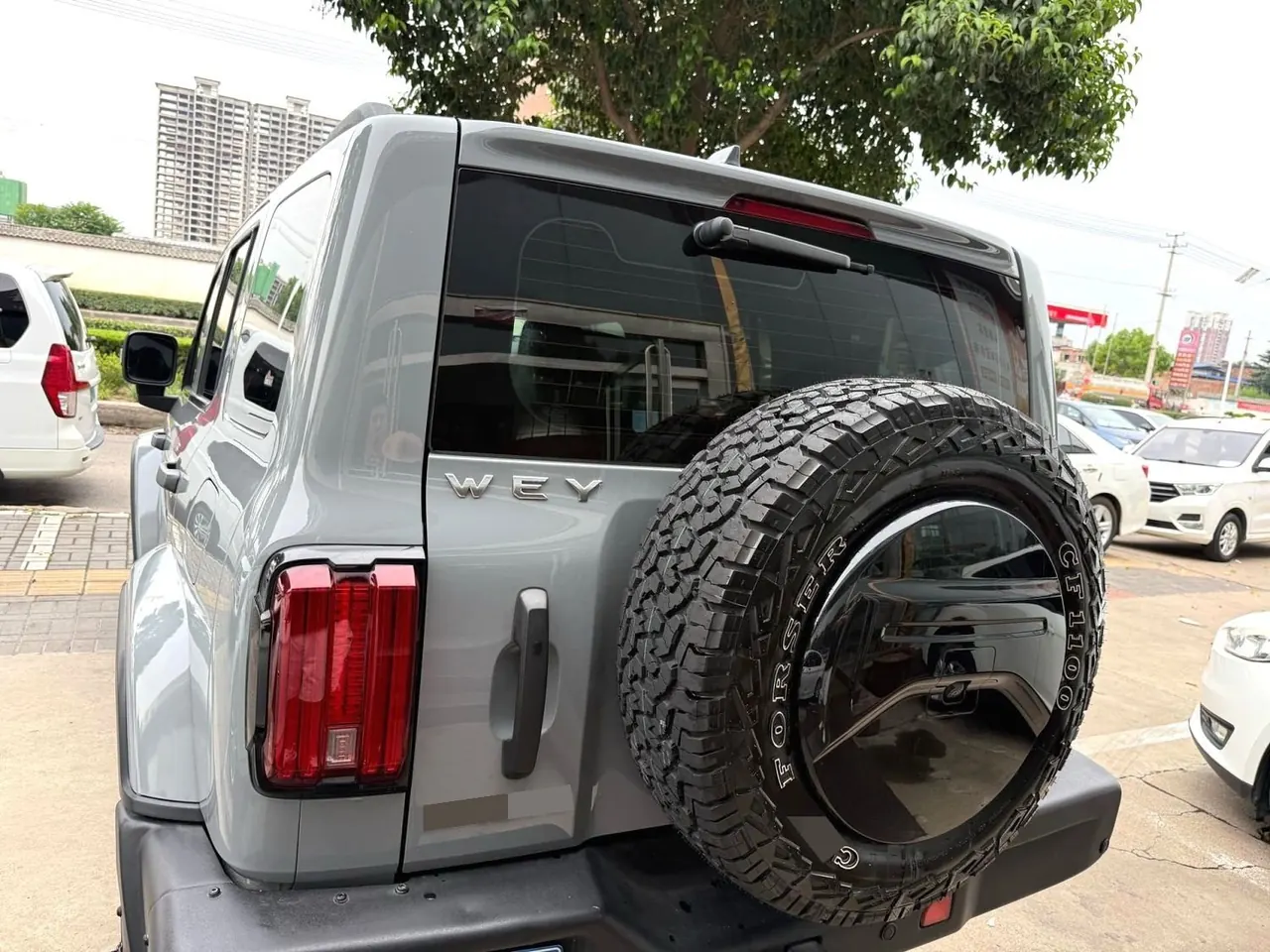 Tank 2021 Tank 300 2.0T Off-road Conqueror Automatic 13