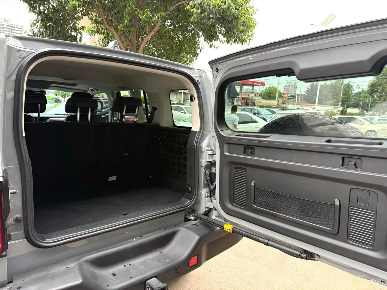 Tank 2021 Tank 300 2.0T Off-road Conqueror Automatic 4