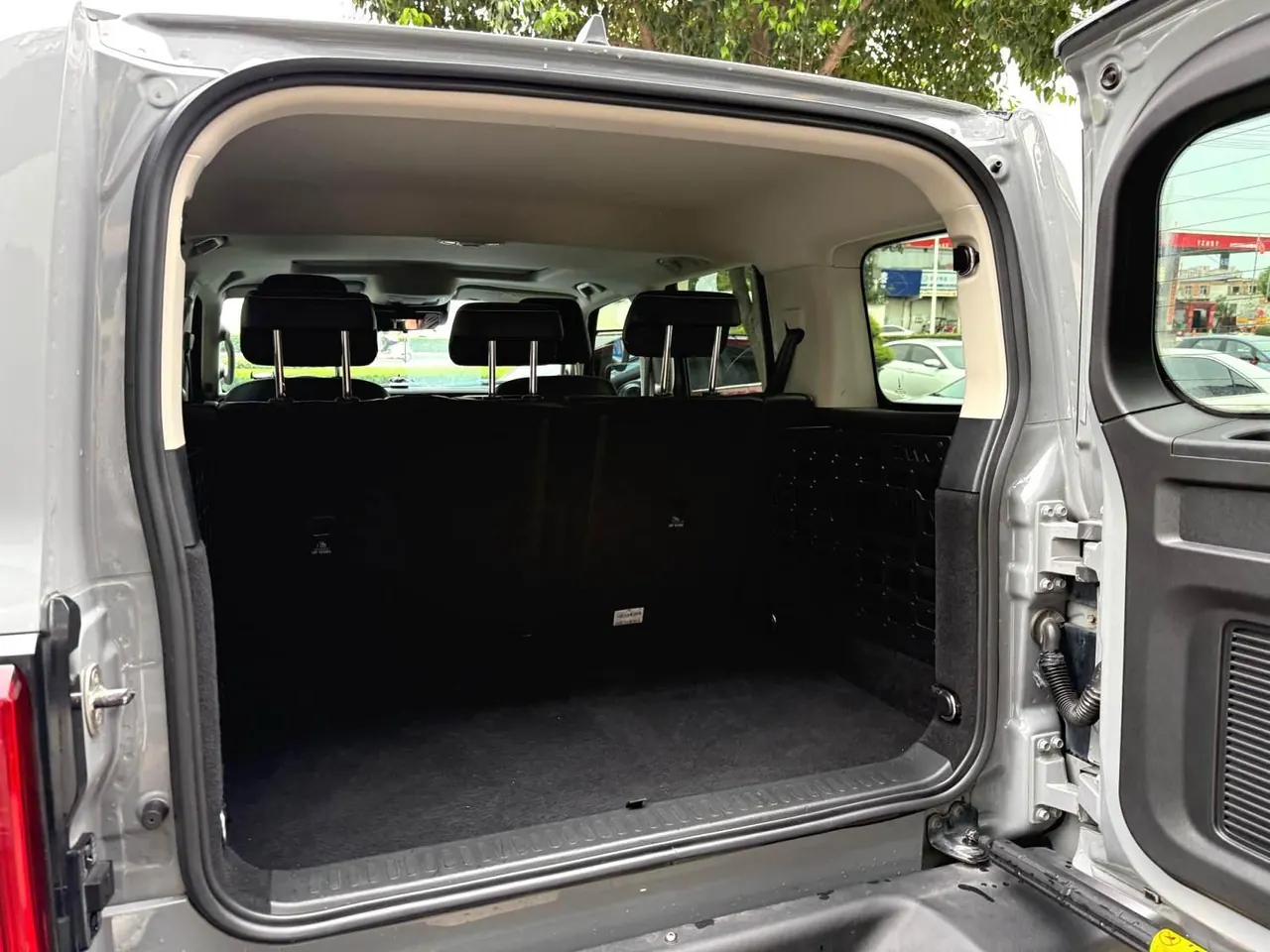 Tank 2021 Tank 300 2.0T Off-road Conqueror Automatic 7