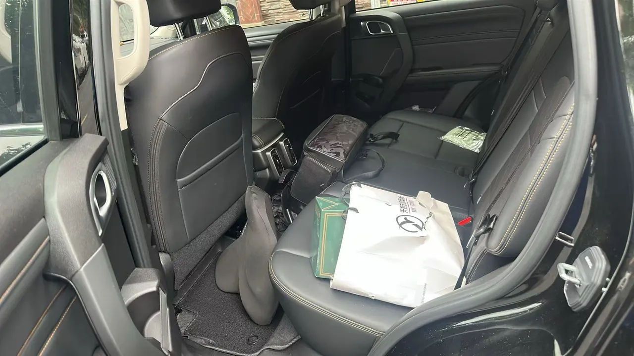 Haval 2024 big dog 1.5T Labrador version automatic gear 10