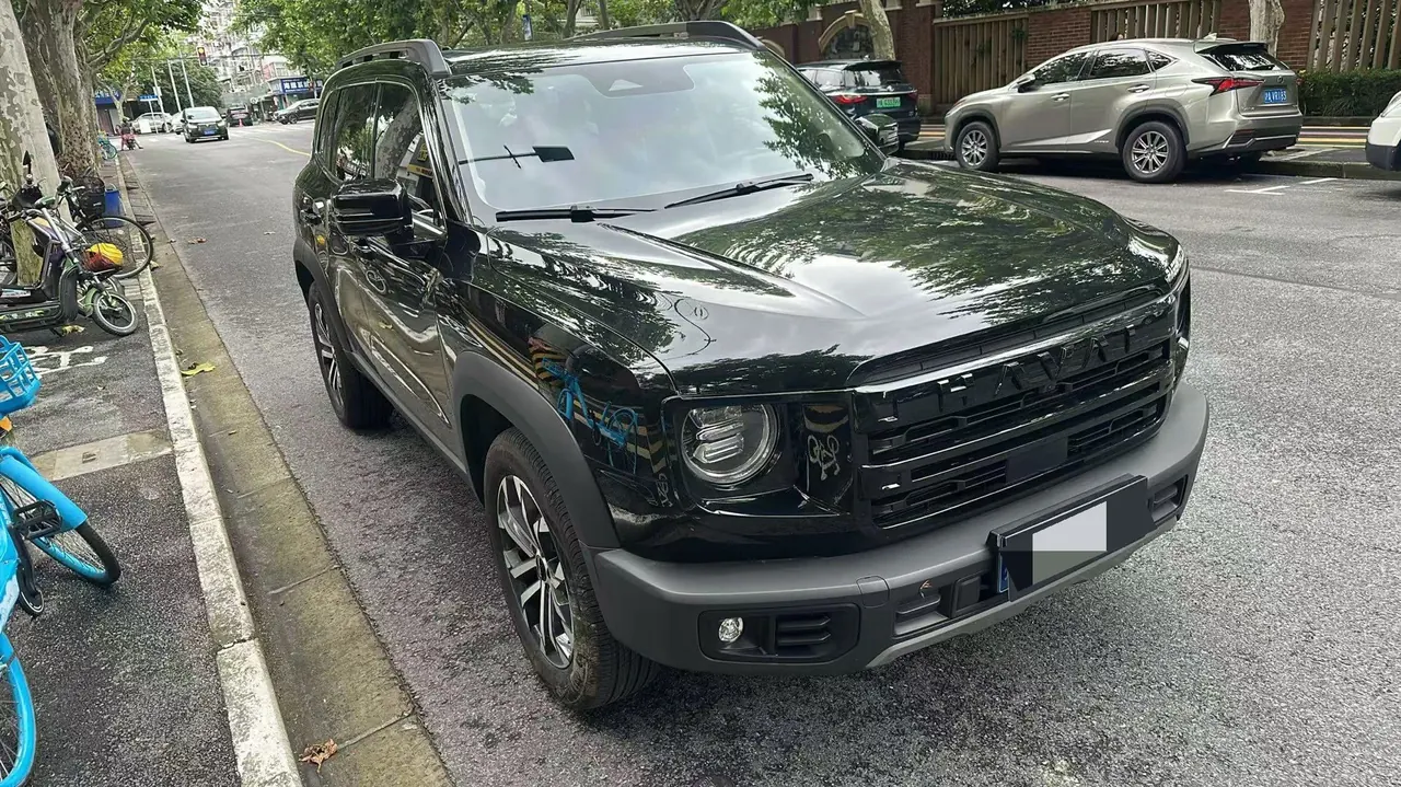 Haval 2024 big dog 1.5T Labrador version automatic gear 3