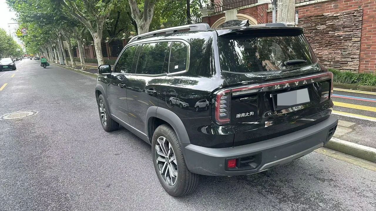 Haval 2024 big dog 1.5T Labrador version automatic gear 4