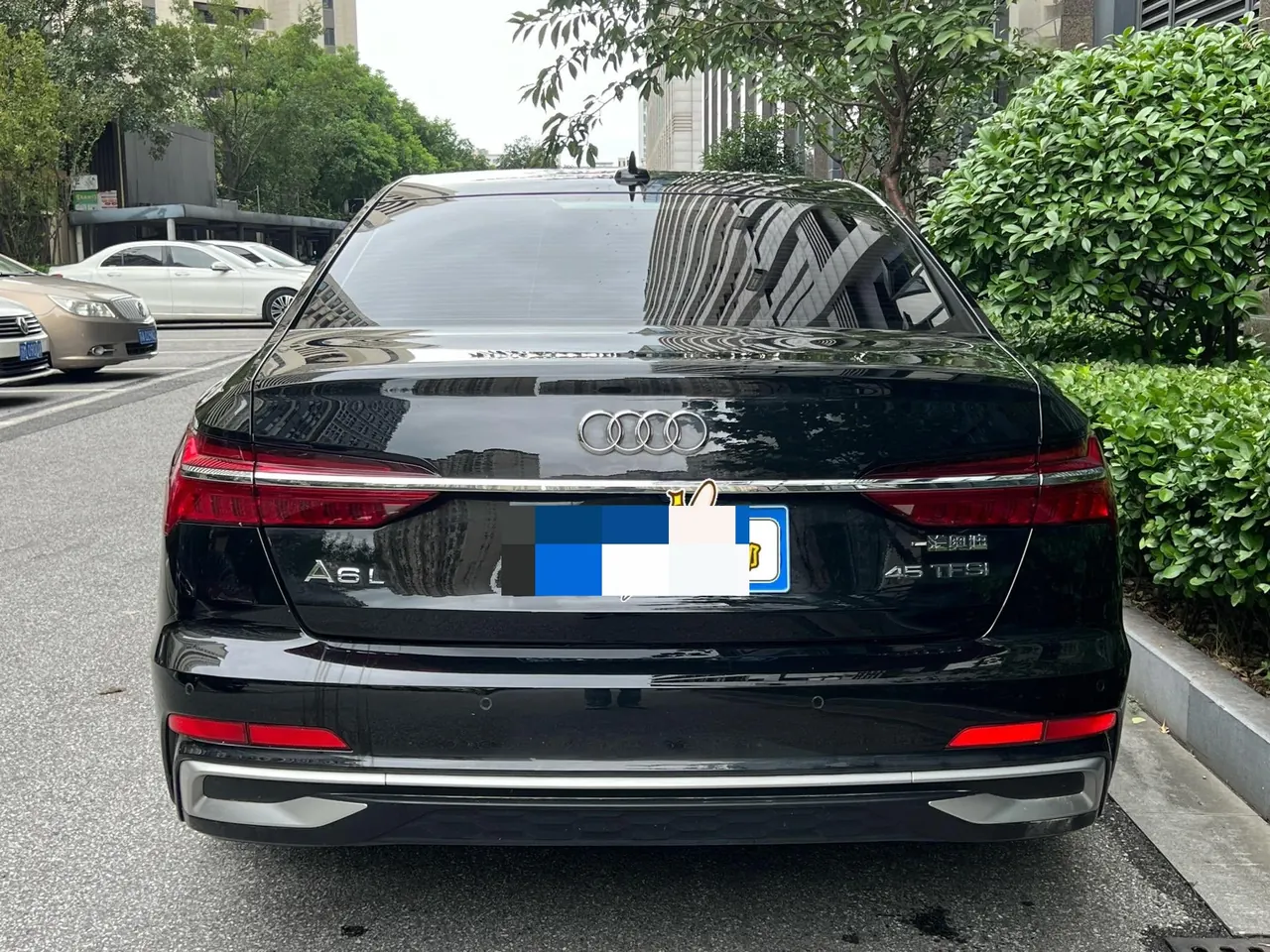 Audi 2023 A6L 2.0TFSI 45TFSI Selected Dynamic (Modified) Automatic Gear 10
