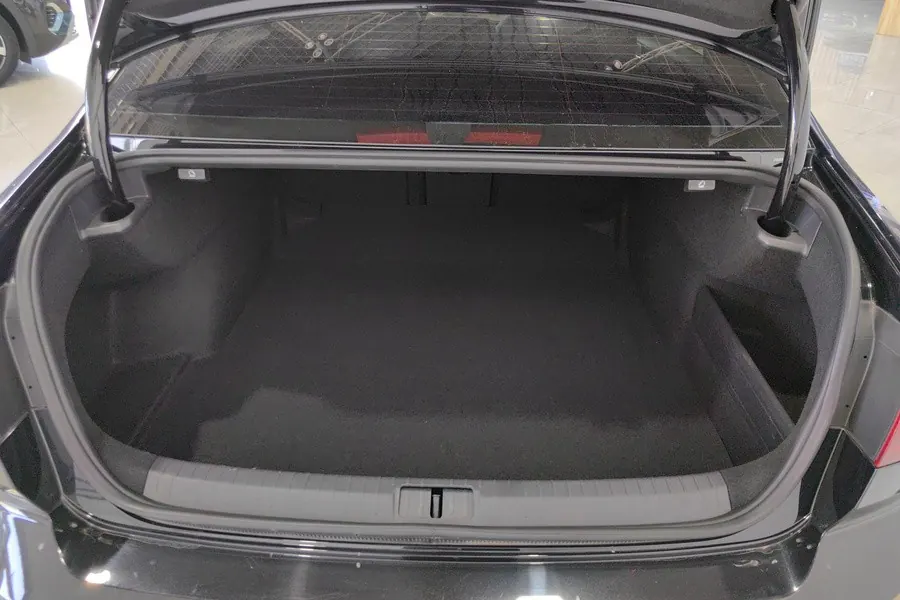 Volkswagen 2023 Magotan 2.0TSI 330TSI 2 million Commemorative Edition Leading Automatic Gear 7