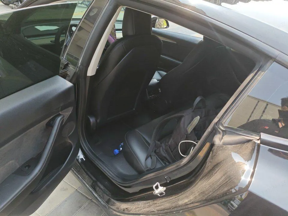 Tesla 2021 Model 3 Standard Endurance Rear Drive Upgraded Automatic Gear 4