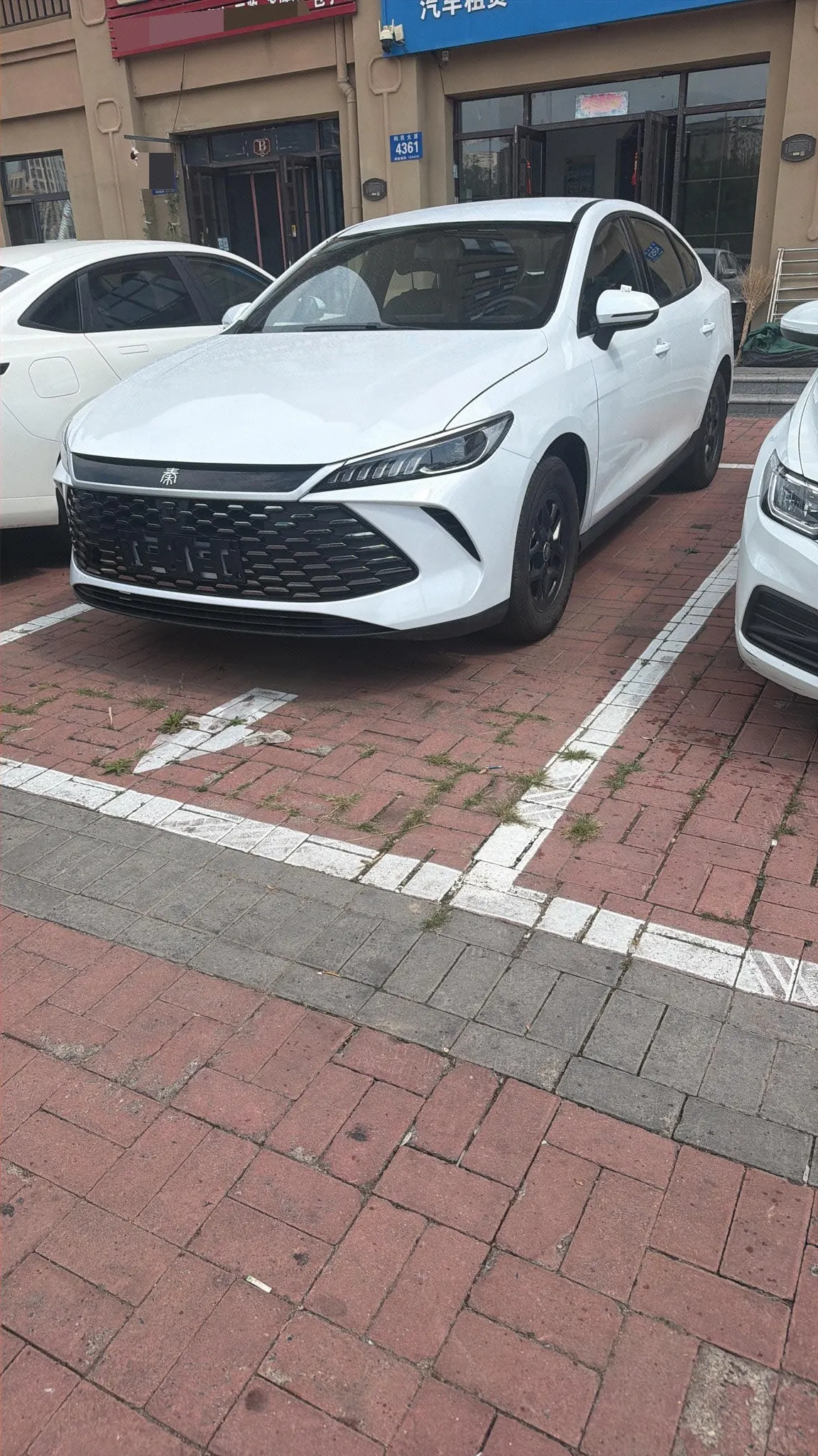 打开图片灯箱:BYD 2025 Qin PLUS DM-i 1.5 stepless smart driving version 128KM aggressive automatic gear