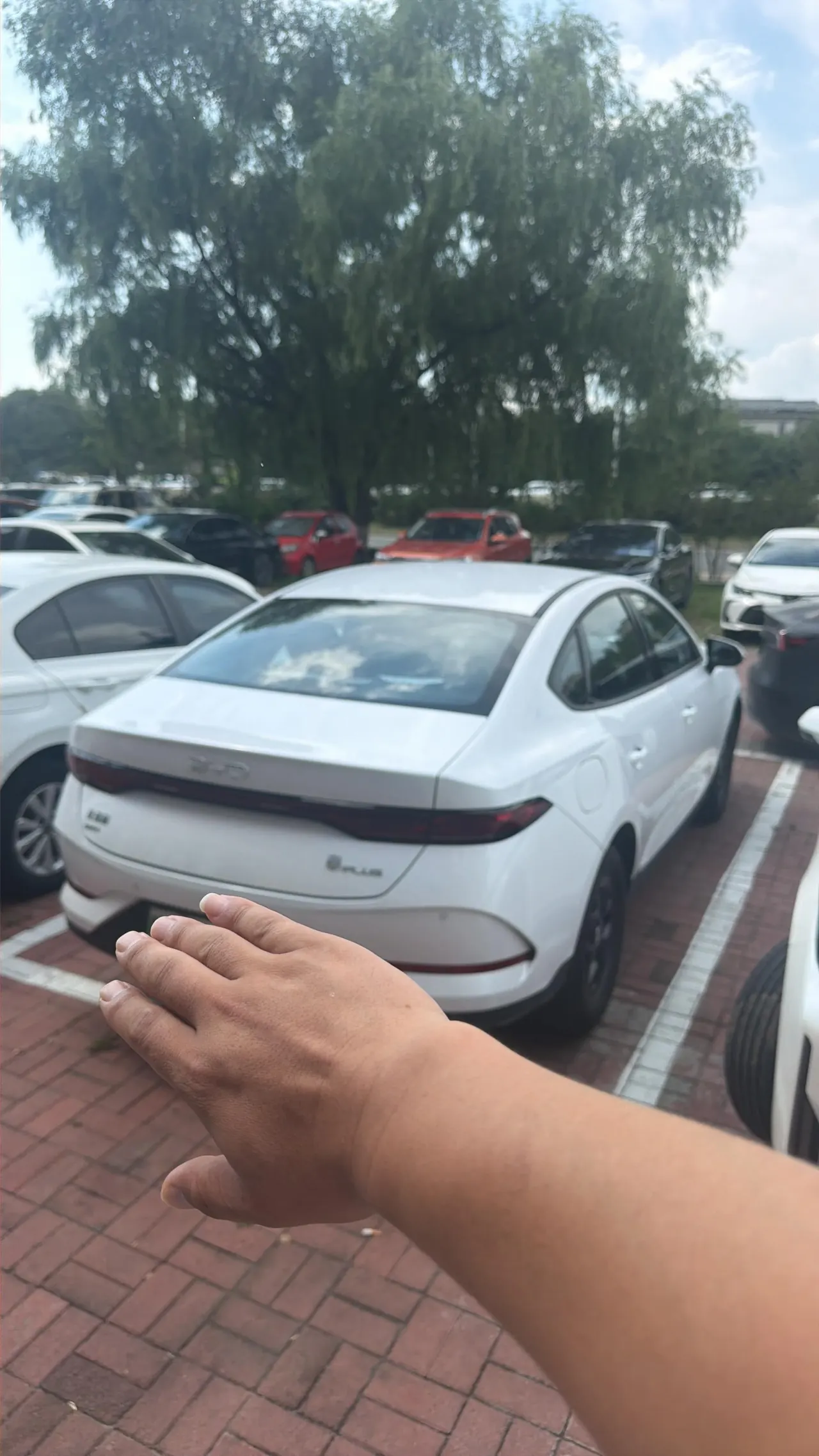 BYD 2025 Qin PLUS DM-i 1.5 stepless smart driving version 128KM aggressive automatic gear 5