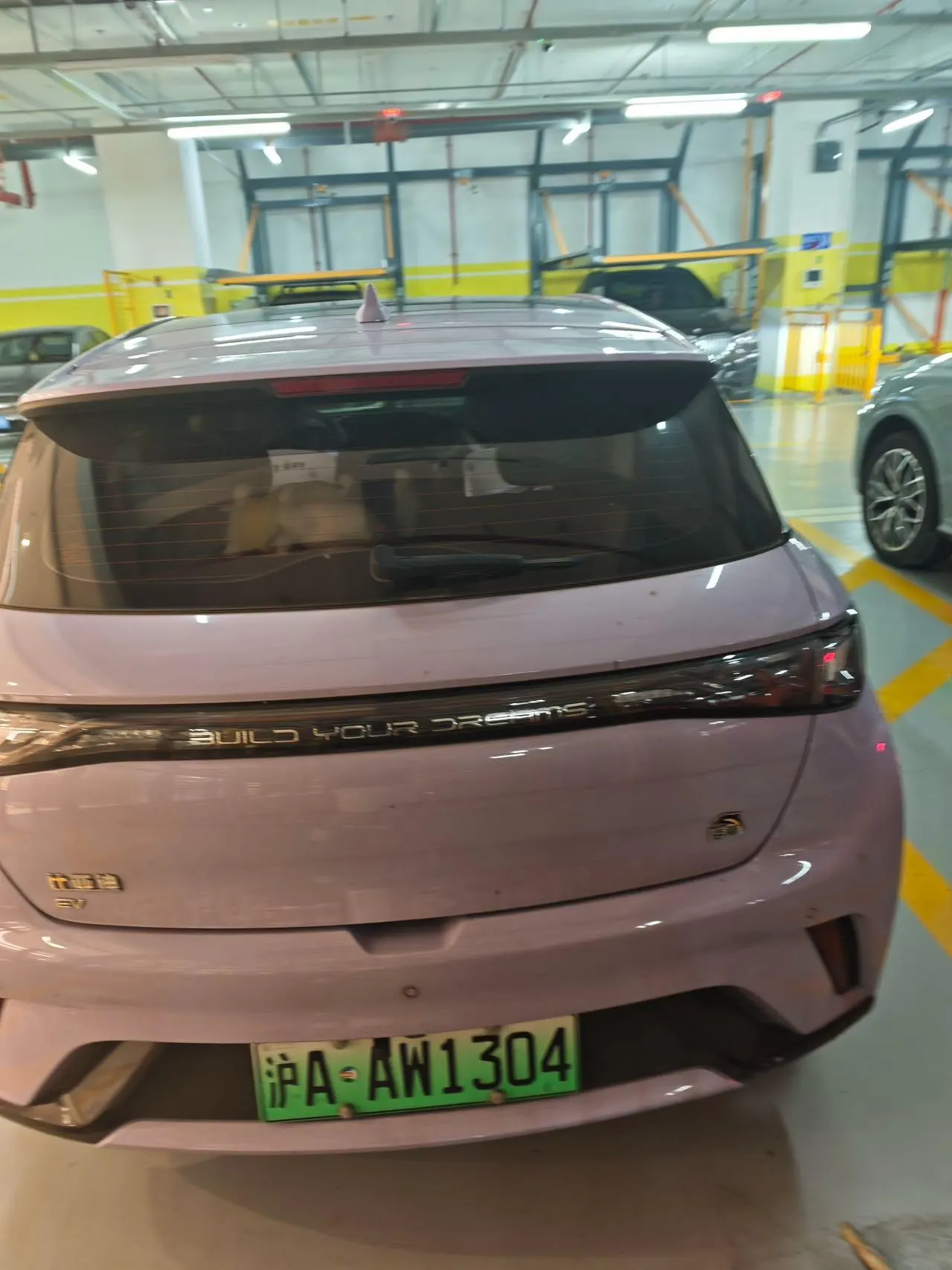 BYD 2021 Dolphin 405km Fashion Edition Automatic 6