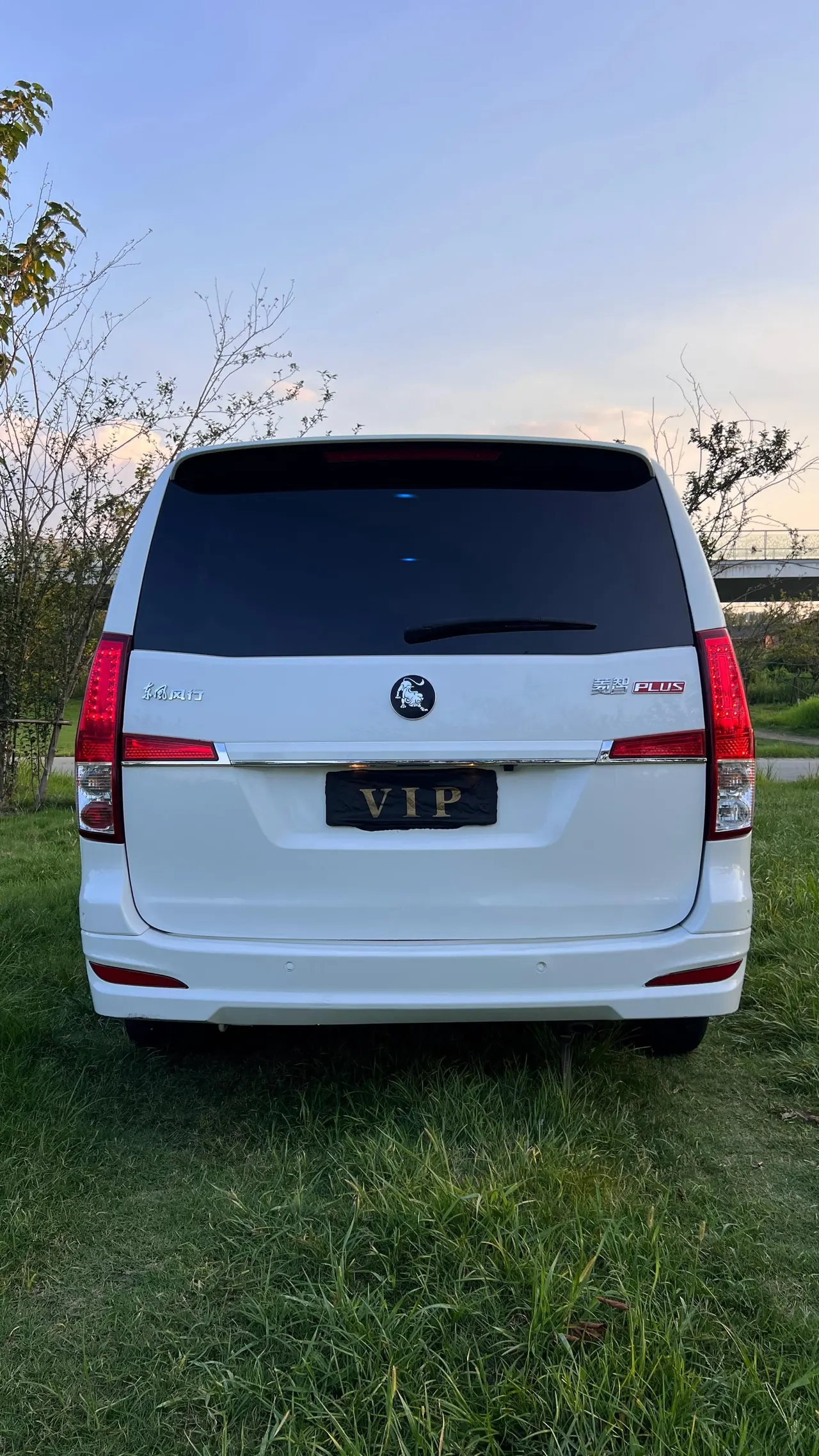 The popular Lingzhi PLUS 2022 Lingzhi PLUS 2.0 Travel Edition Elite 7-seat Manual 17
