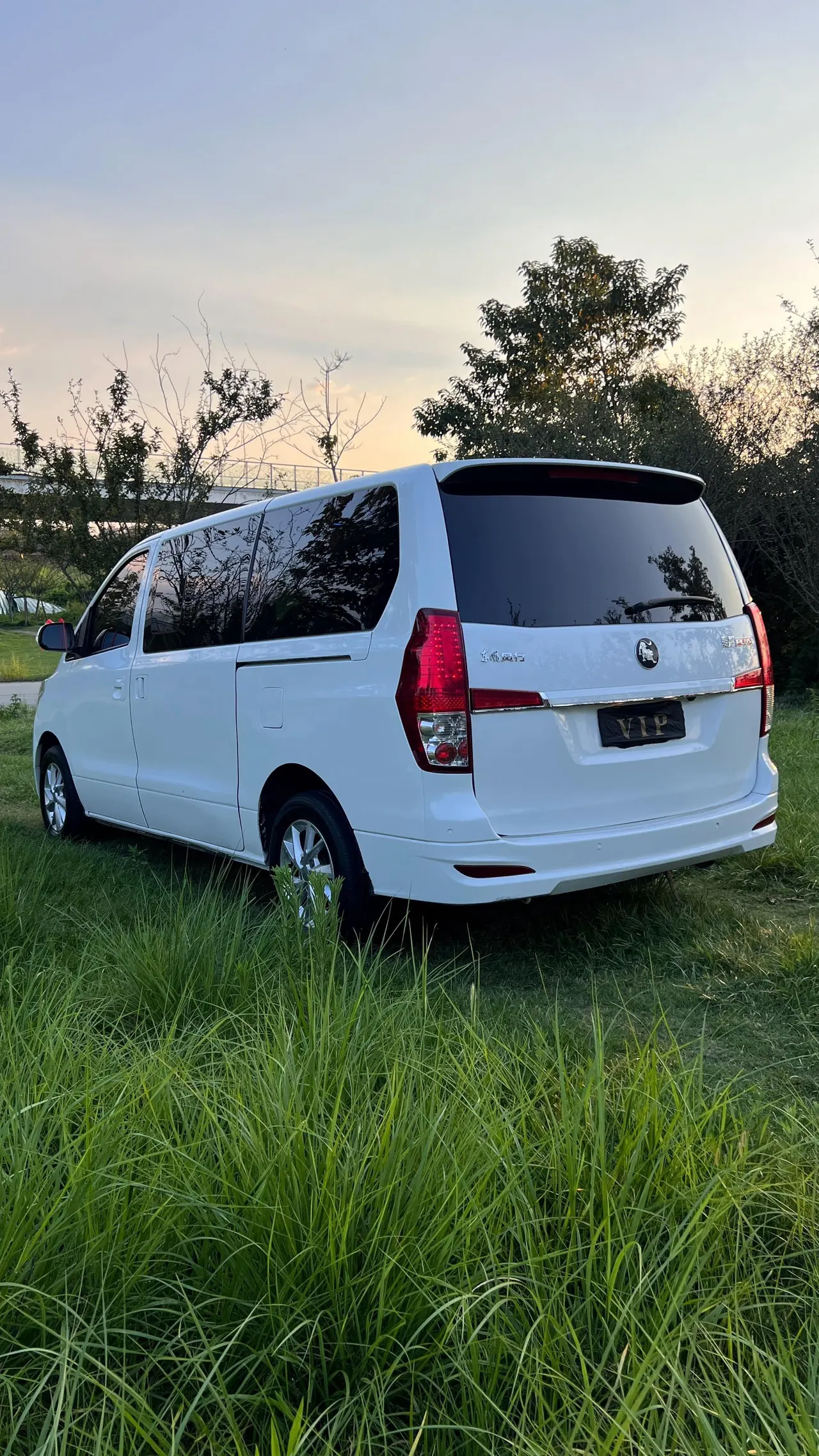 The popular Lingzhi PLUS 2022 Lingzhi PLUS 2.0 Travel Edition Elite 7-seat Manual 18