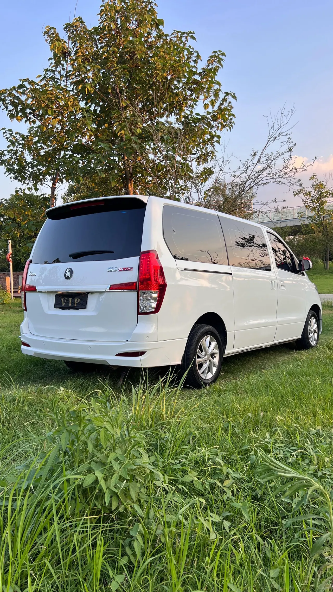 The popular Lingzhi PLUS 2022 Lingzhi PLUS 2.0 Travel Edition Elite 7-seat Manual 19