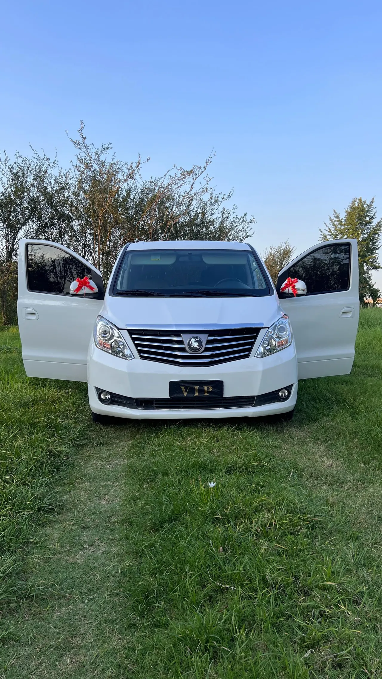 The popular Lingzhi PLUS 2022 Lingzhi PLUS 2.0 Travel Edition Elite 7-seat Manual 2