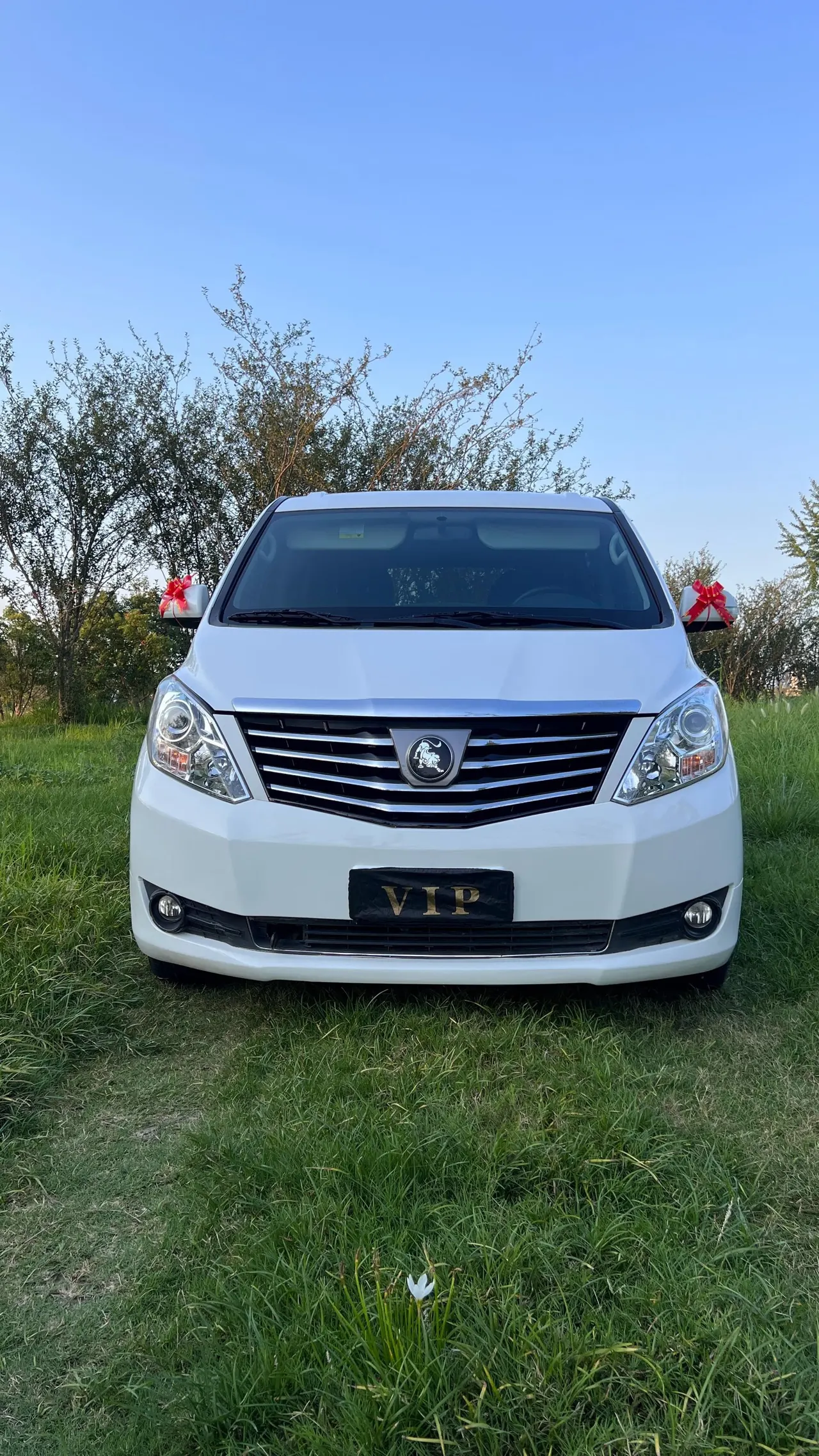 The popular Lingzhi PLUS 2022 Lingzhi PLUS 2.0 Travel Edition Elite 7-seat Manual 3