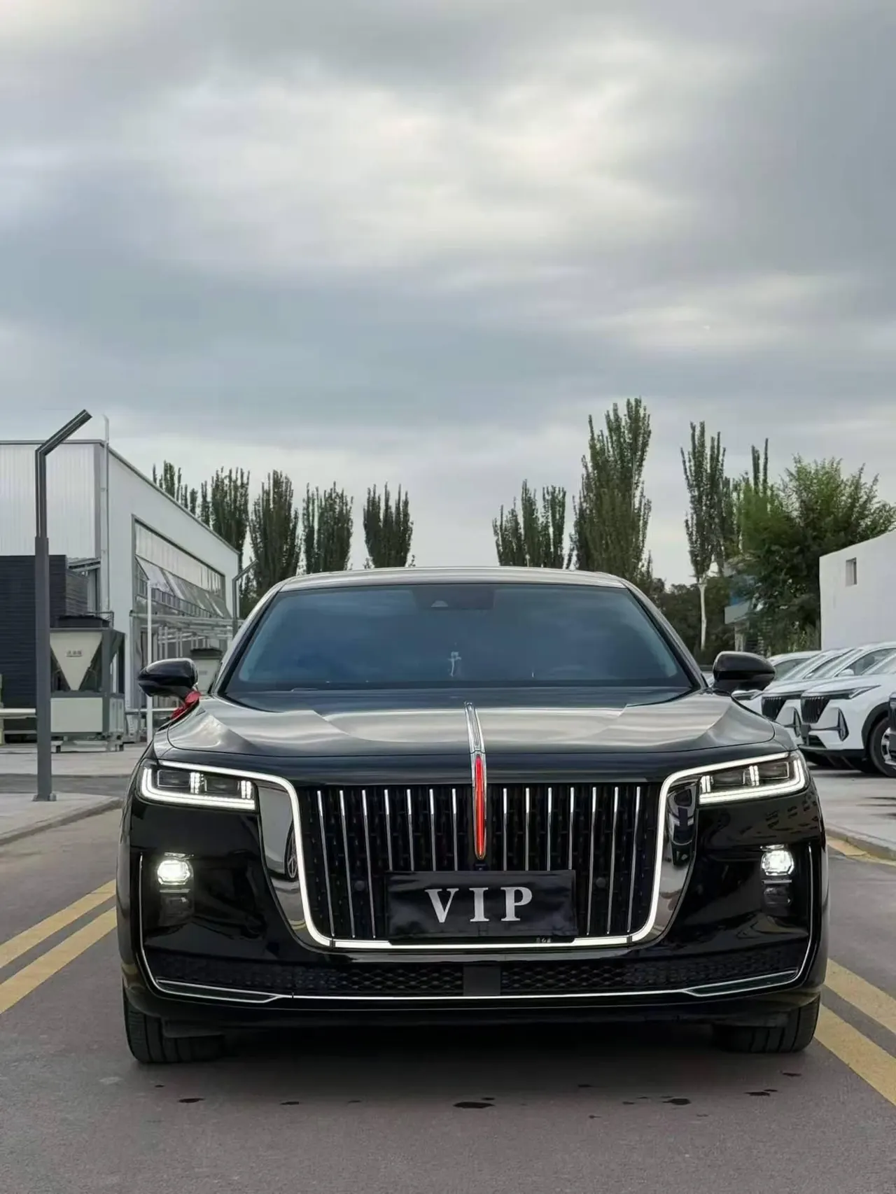 HongQi 2020 H9 48V 2.0T Zhilian Qi Chang Edition Automatic Gear 2