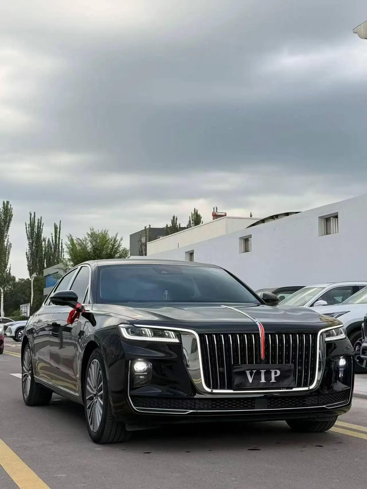 HongQi 2020 H9 48V 2.0T Zhilian Qi Chang Edition Automatic Gear 3