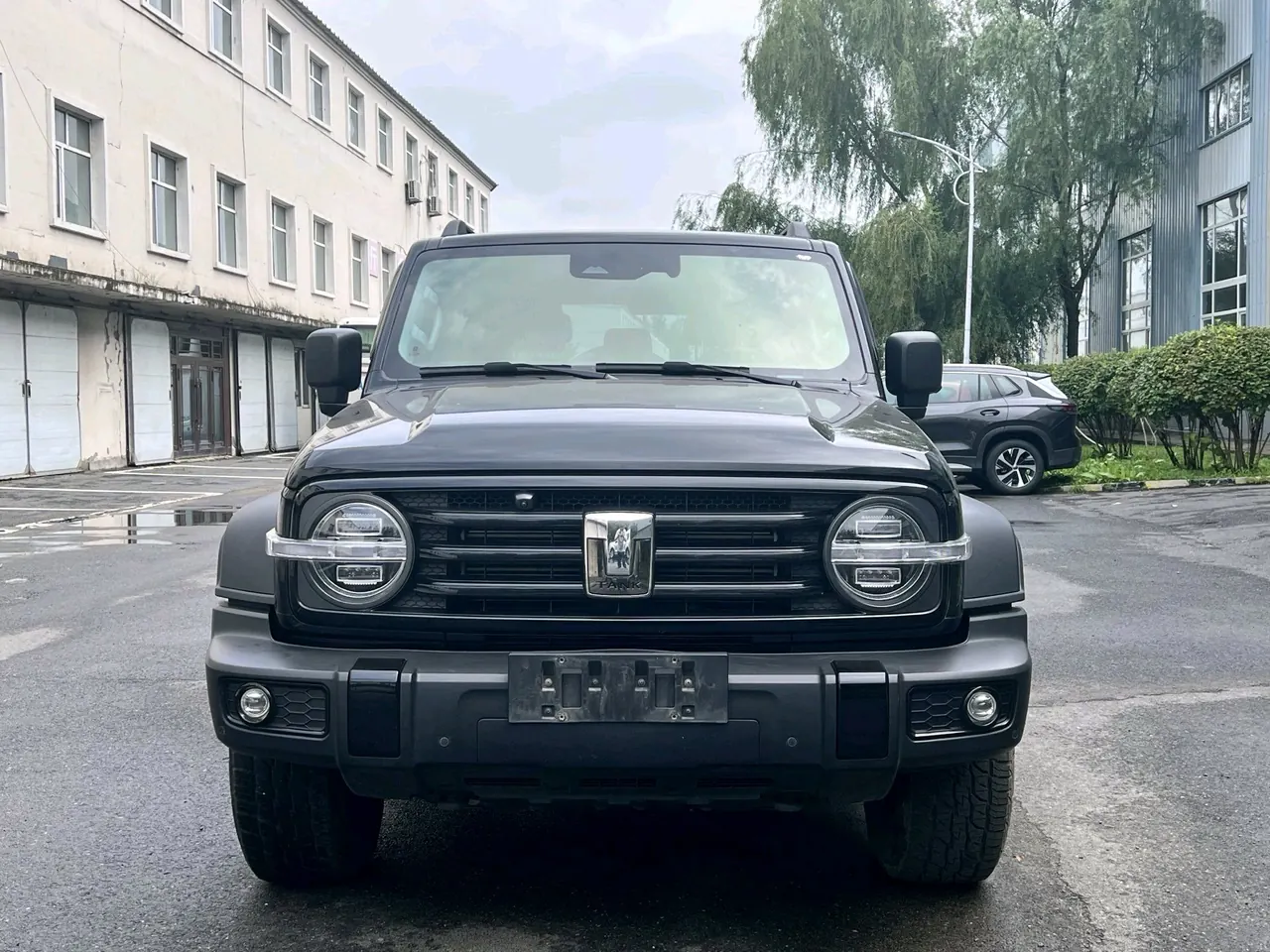 Tank 2021 Tank 300 2.0T Off-road Conqueror Automatic 2