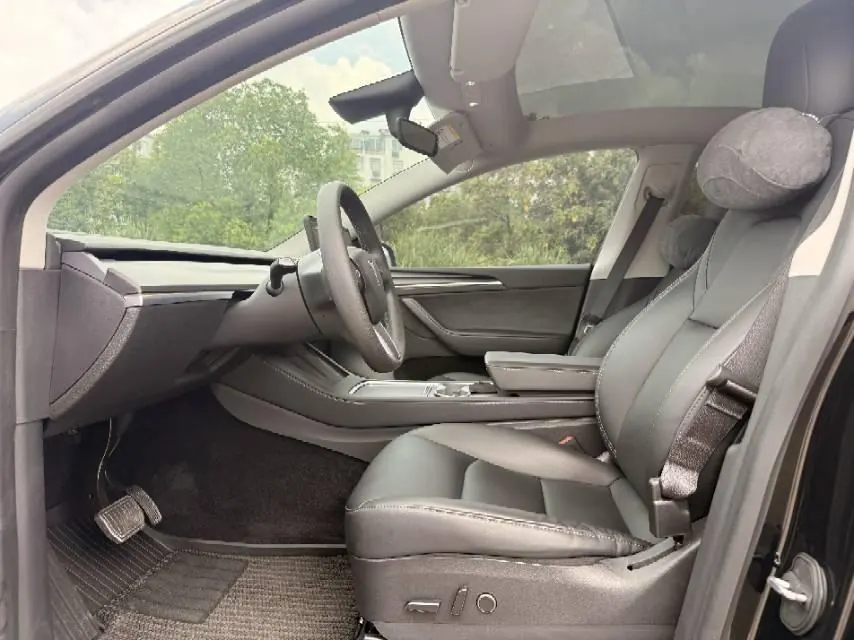 Tesla 2021 Model Y Standard Endurance Rear Drive Automatic Gear 3