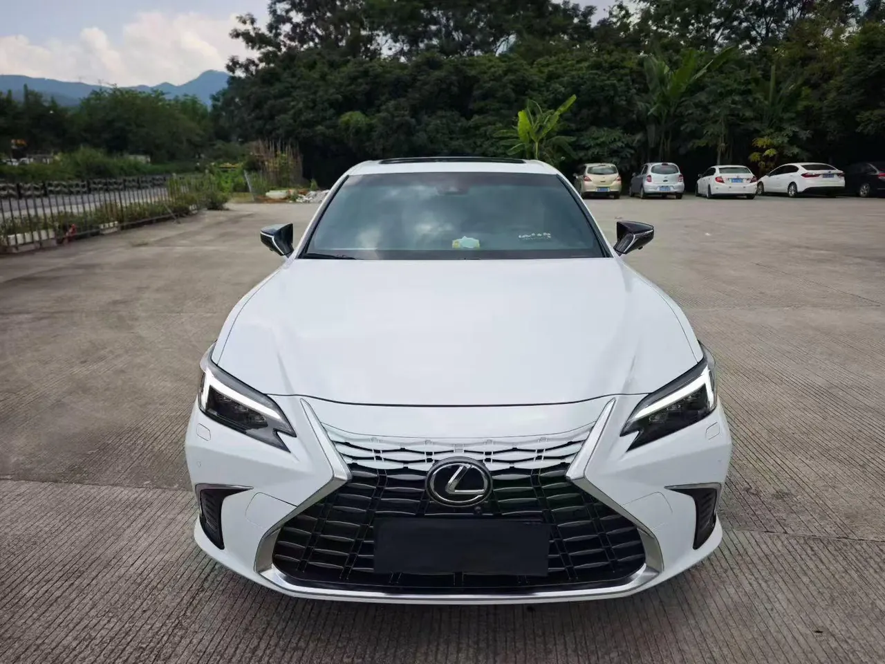 Lexus ES (Imported) 2026 ES200 2.0 Stepless Moon Shadow Double Color Special Edition Automatic Gear 2