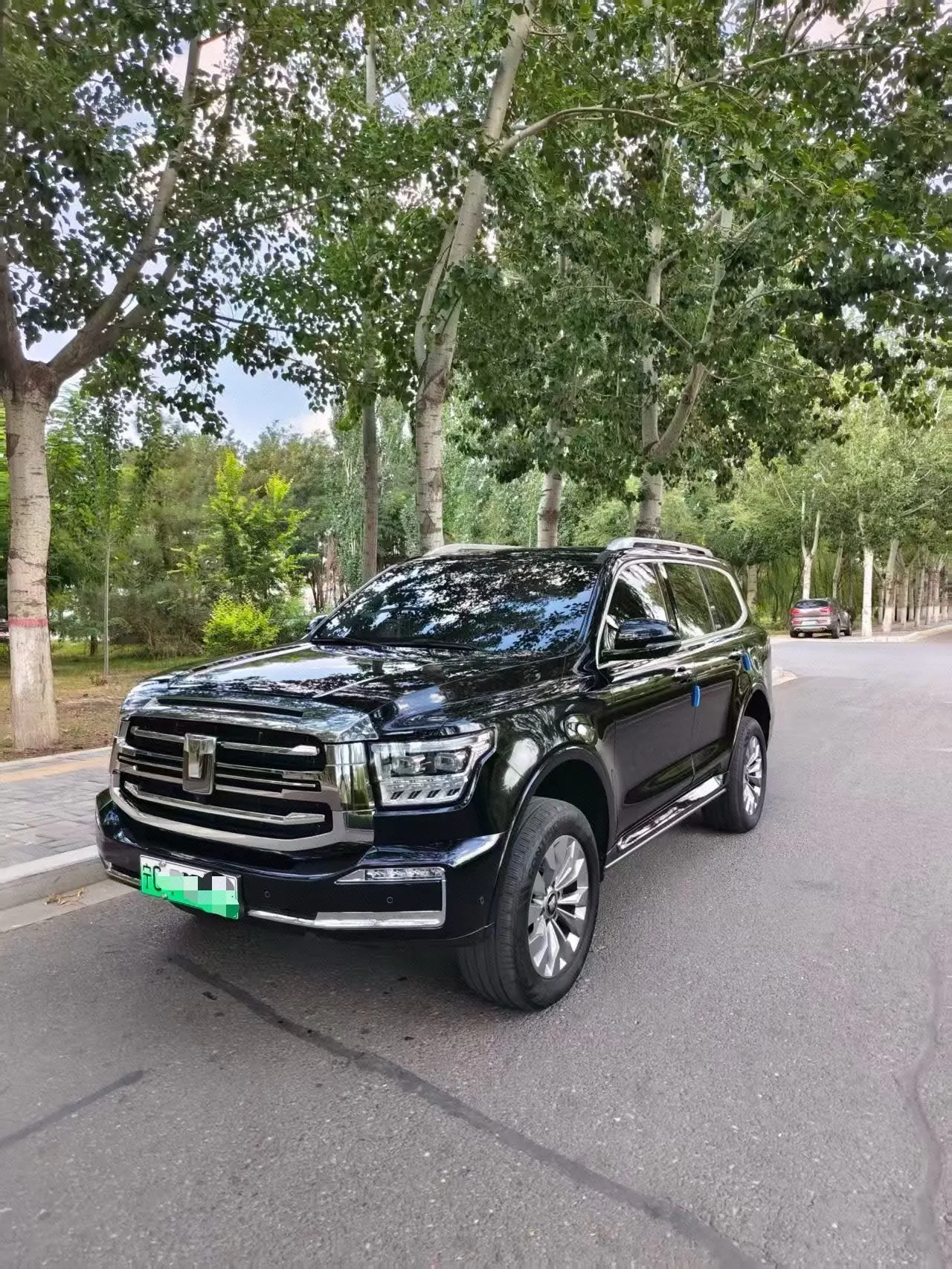 打开图片灯箱:Tank 500 New Energy 2023 Tank 500 Hi4-T 2.0T Hi4-T (Modified) Automatic Gear
