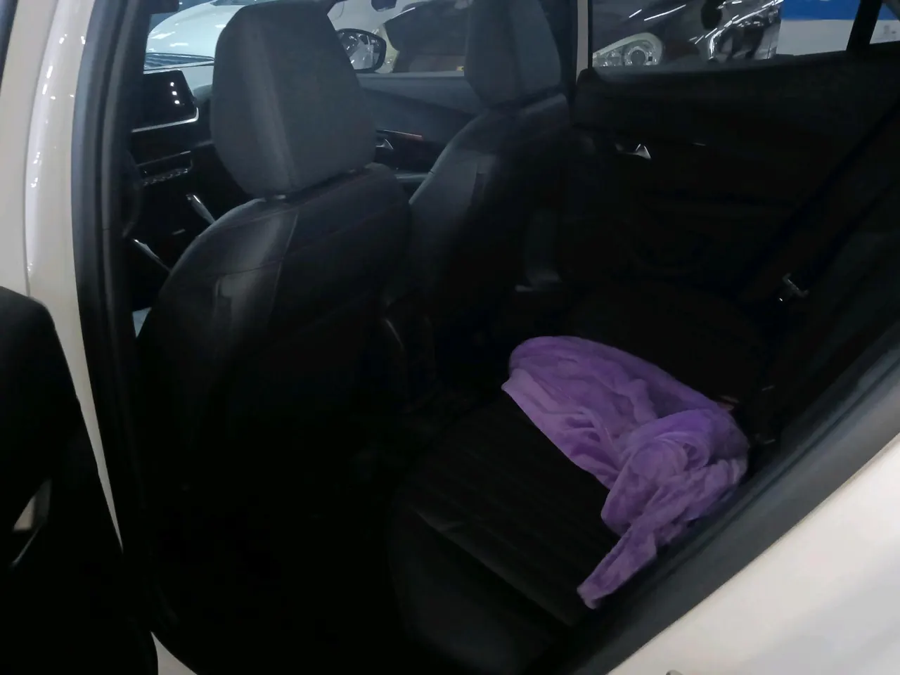 Peugeot 2022 2008 1.2THP 230THP THE ONE Automatic 6