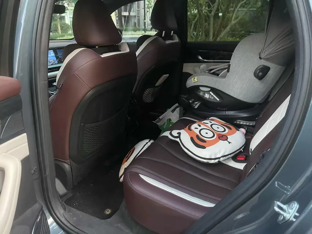 Geely 2021 XingyueL (Monjaro) 2.0TD EVO two-wheel drive smart automatic gear 3