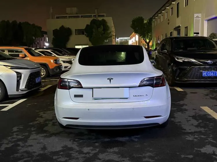 Tesla 2021 Model 3 Standard Endurance Rear Drive Upgrade (Modified) Automatic Gear 7