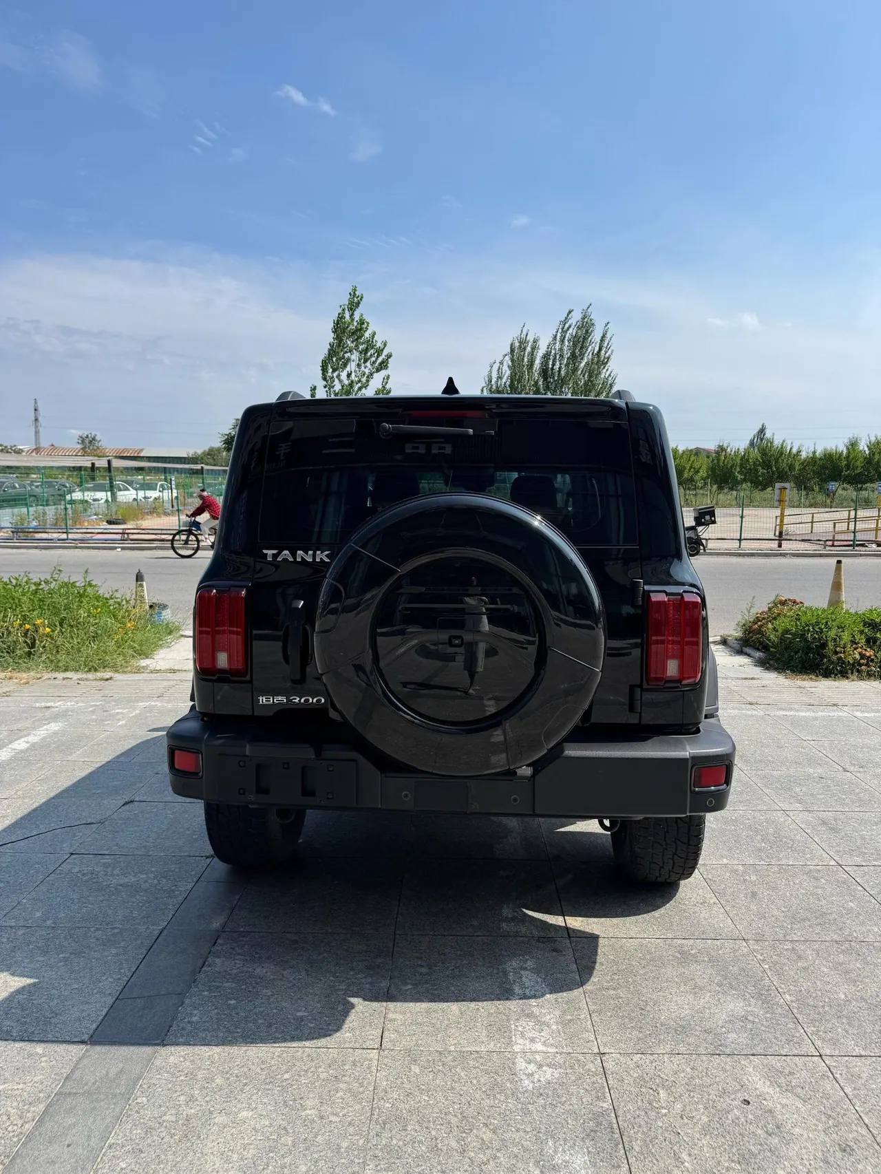 Tank 2021 Tank 300 2.0T Off-road Conqueror Automatic 5