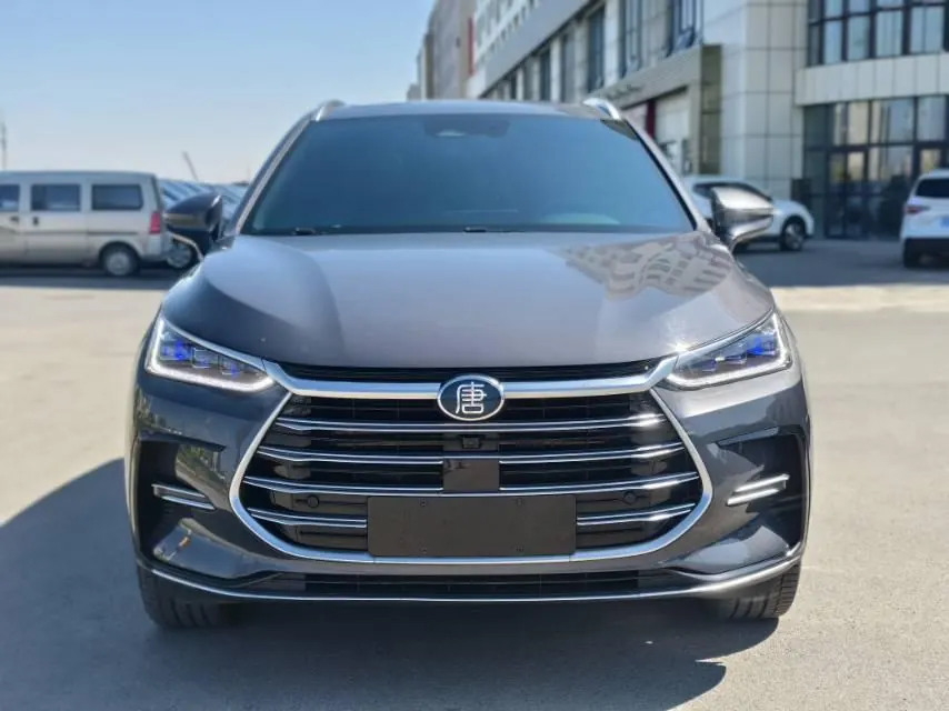 BYD Tang New Energy 2021 Tang DM-i 1.5T Stepless 112KM Honorable Automatic Gear 2