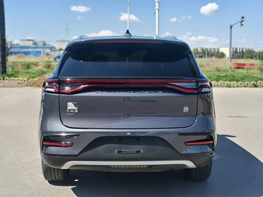 BYD Tang New Energy 2021 Tang DM-i 1.5T Stepless 112KM Honorable Automatic Gear 7