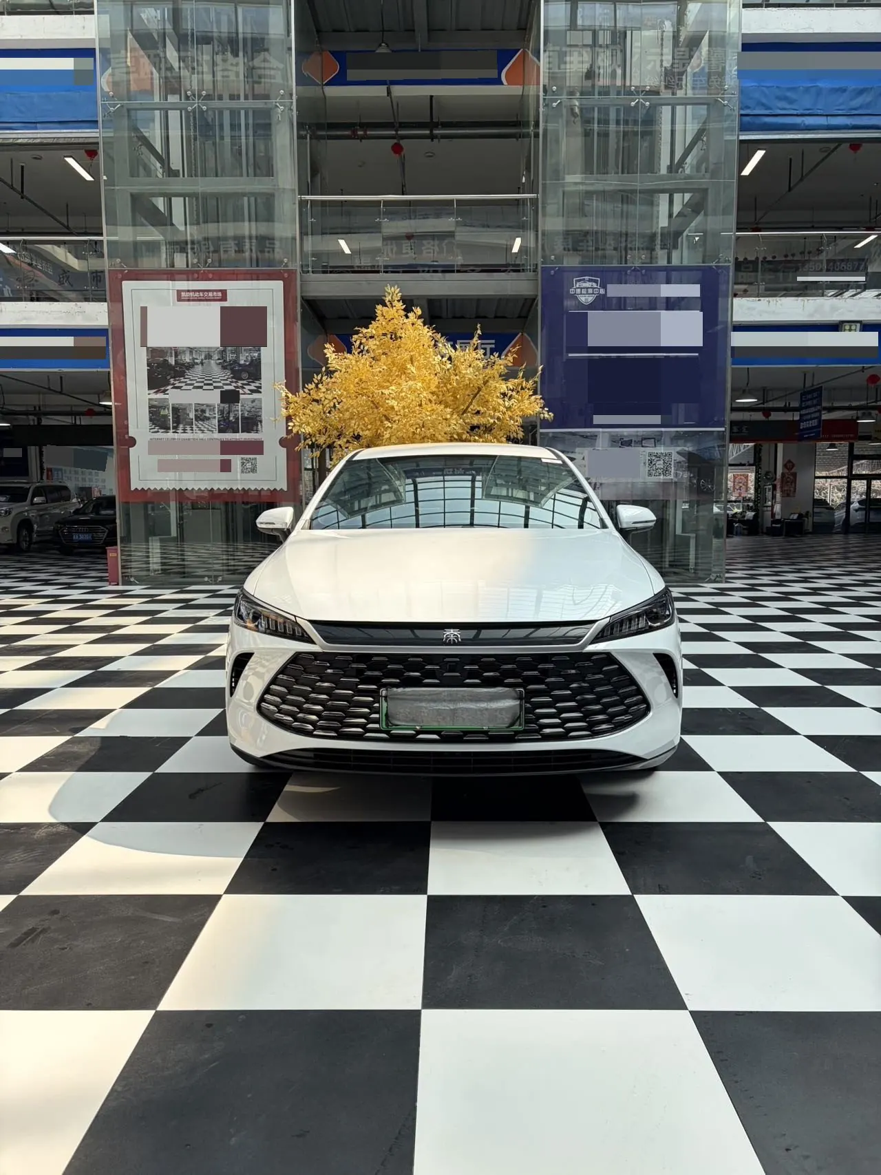 BYD 2025 Qin PLUS DM-i 1.5 stepless intelligent driving version 55KM leading automatic gear 2