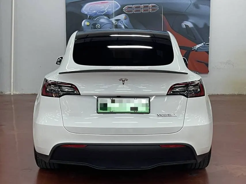 Tesla 2024 Model Y Performance High Performance Edition Automatic Gear 7