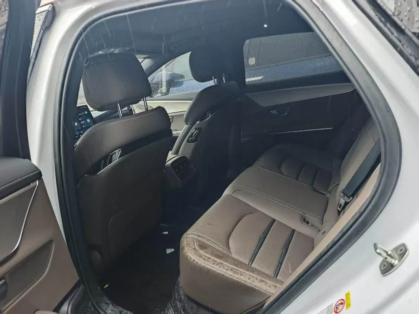 BYD 2021 Chinese Standard Endurance Edition Deluxe Automatic Transmission 4
