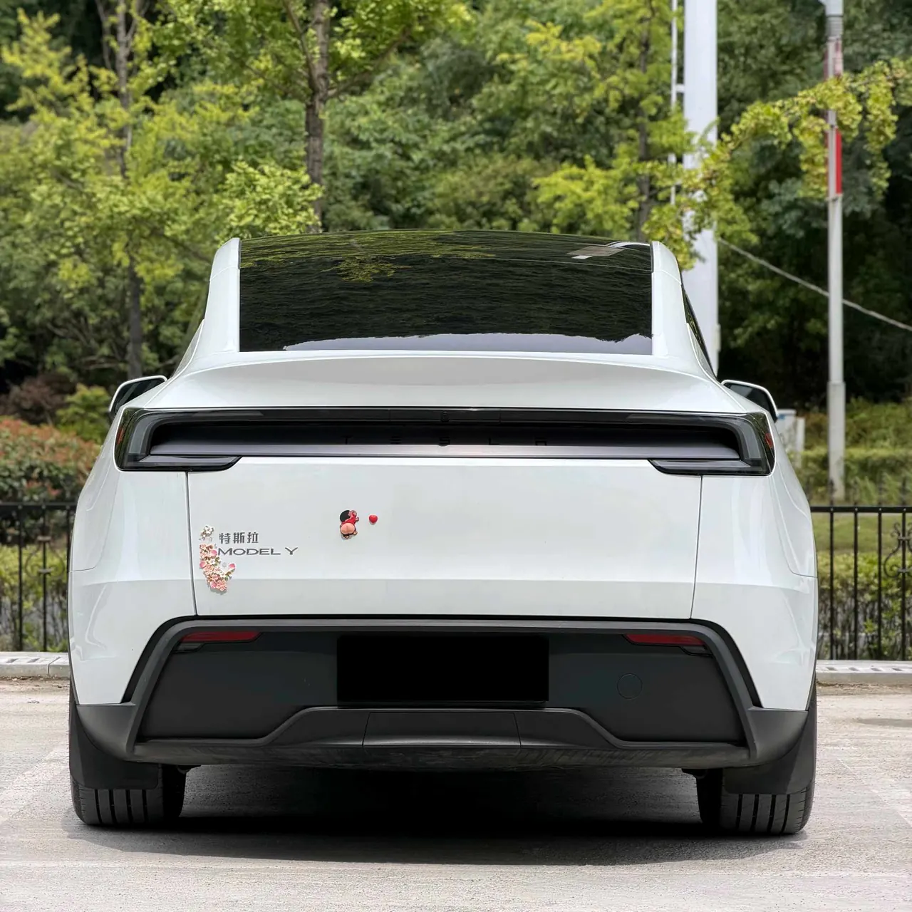 Tesla 2025 Model Y rear-wheel drive version automatic transmission 10