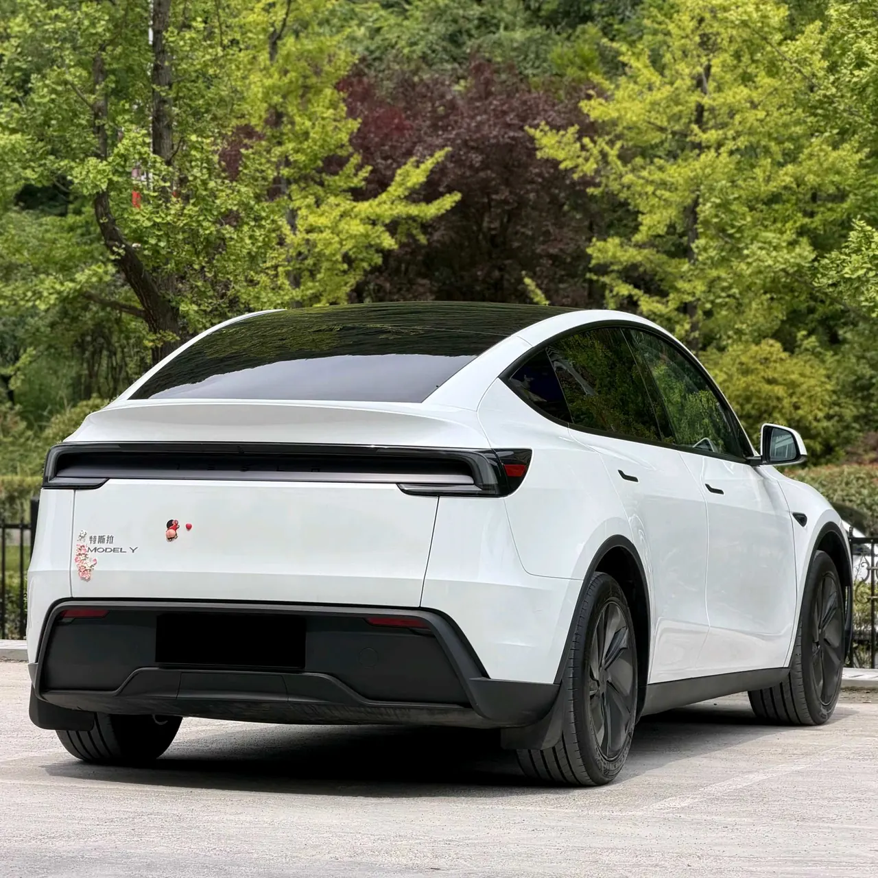 Tesla 2025 Model Y rear-wheel drive version automatic transmission 9